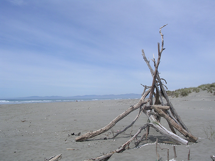 Explore - ravenswood.co.nz