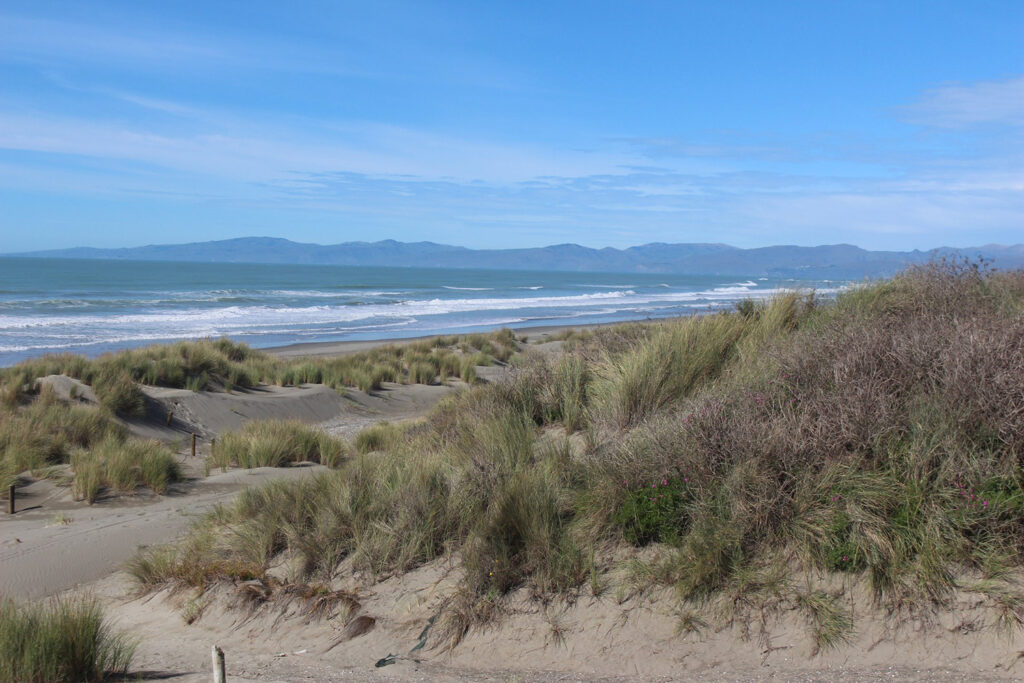 Tuhaitara Dunes